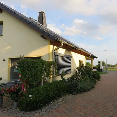 Haus Am Park Apartment Thallwitz Exterior photo