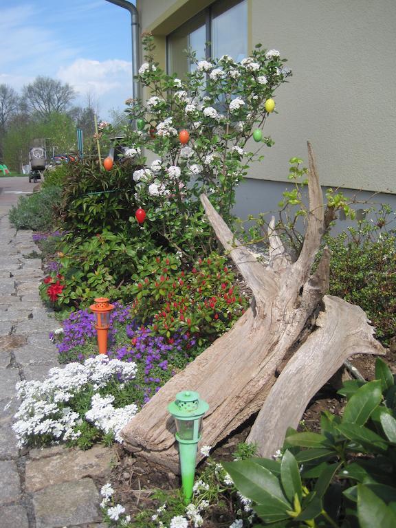 Haus Am Park Thallwitz