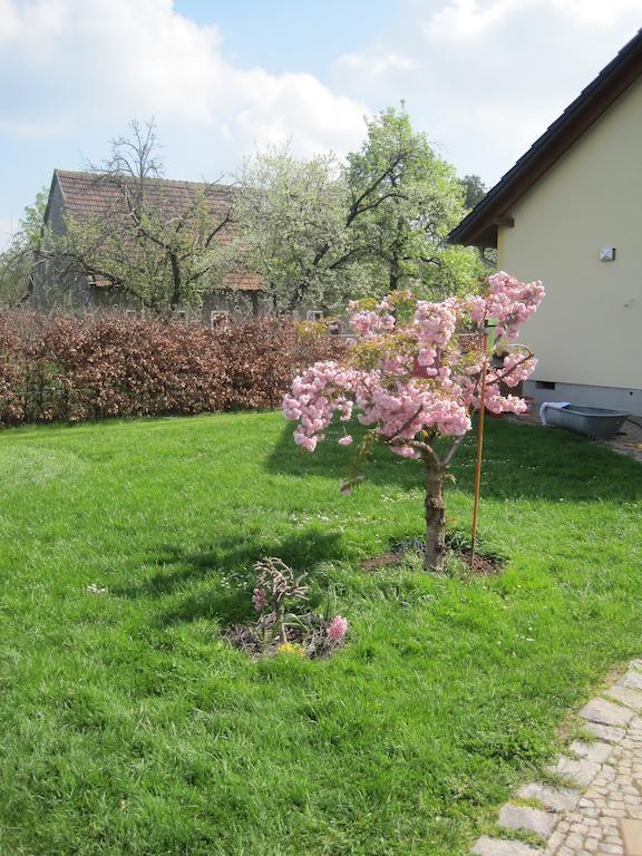 Apartment Haus Am Park *